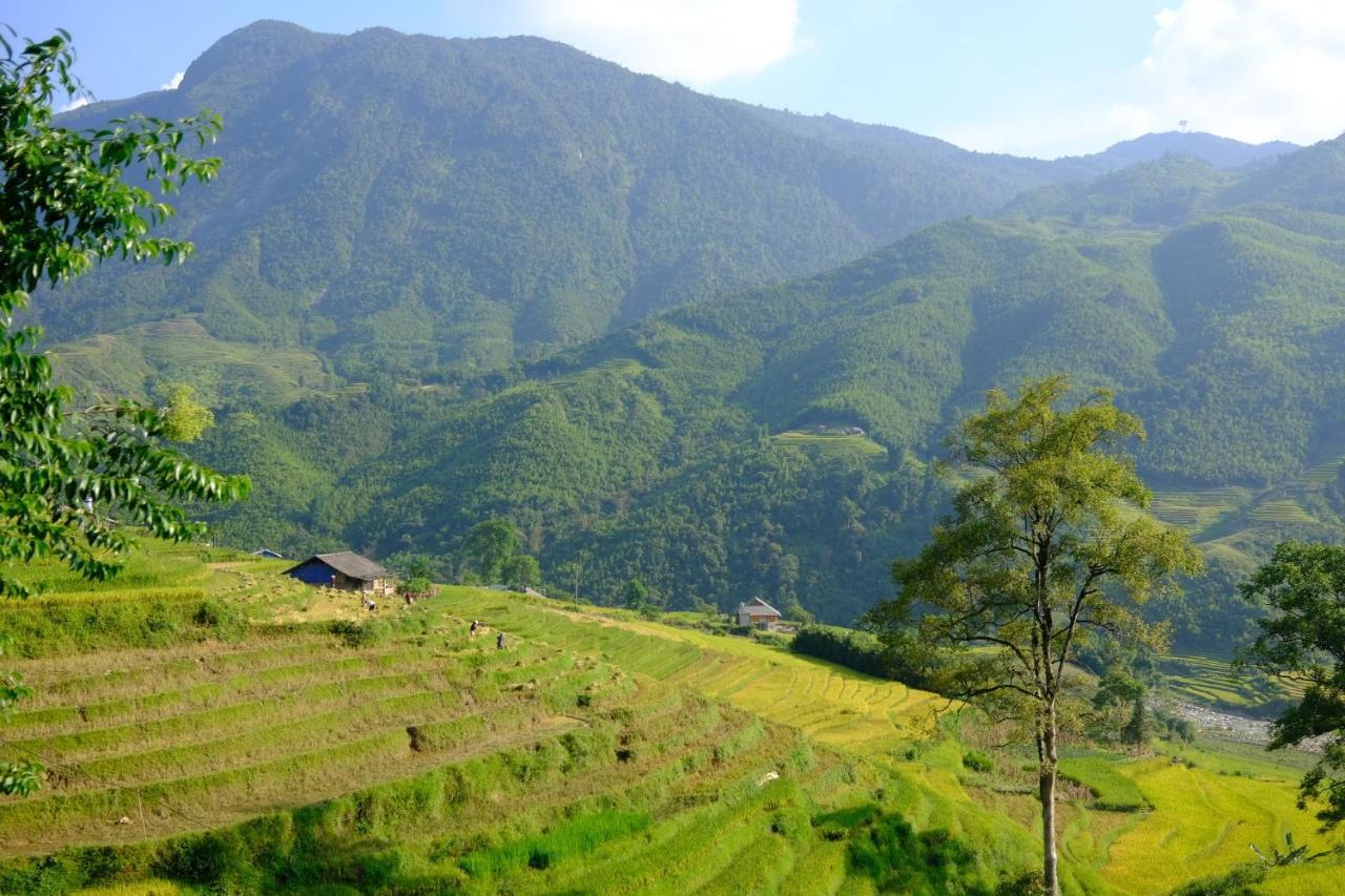 Sapa Hmong Bungalow Homestay Luaran gambar