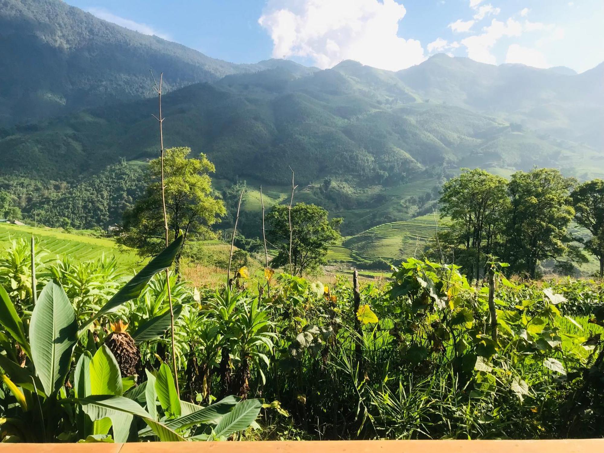 Sapa Hmong Bungalow Homestay Bilik gambar