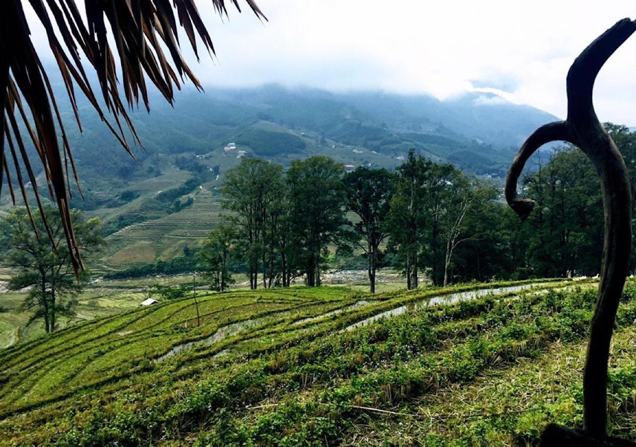 Sapa Hmong Bungalow Homestay Luaran gambar
